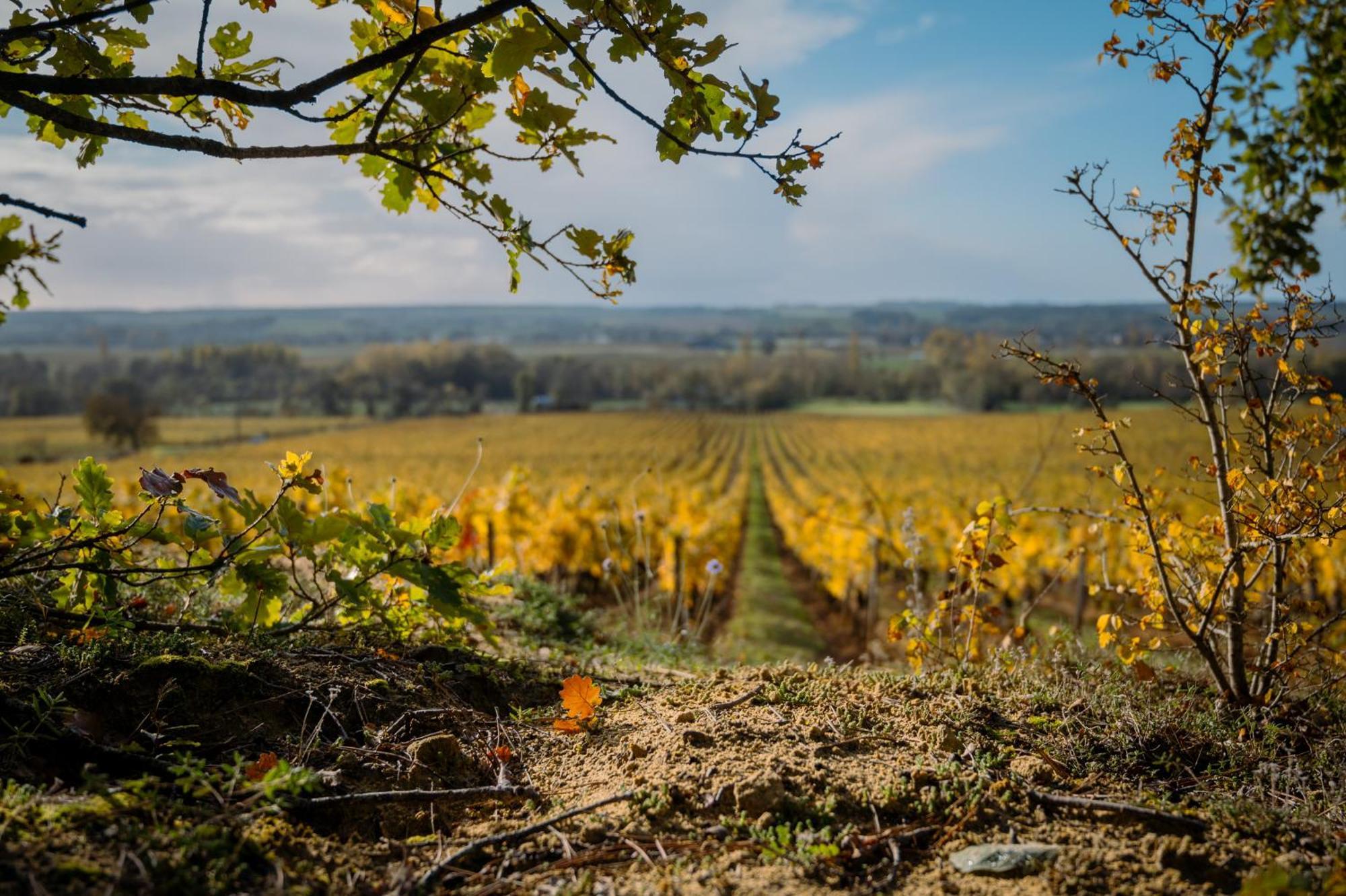 Domaine Beausejour Frühstückspension *