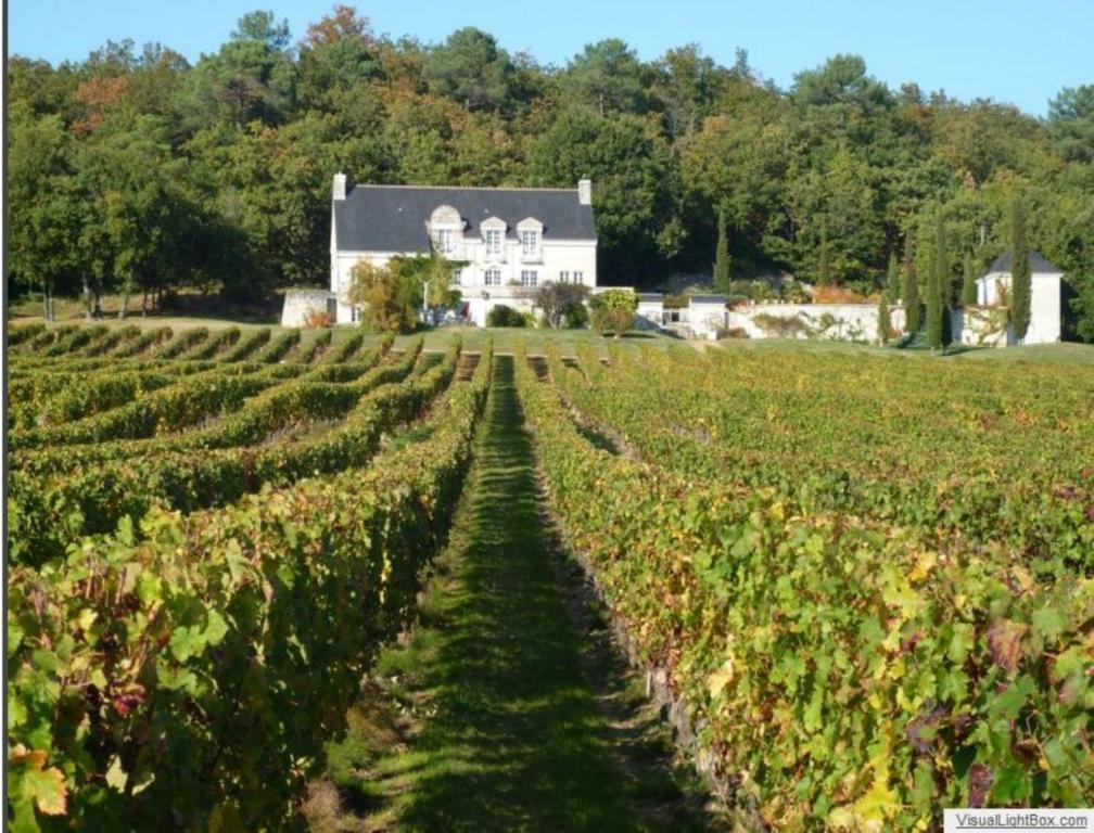 Frühstückspension Domaine Beausejour *